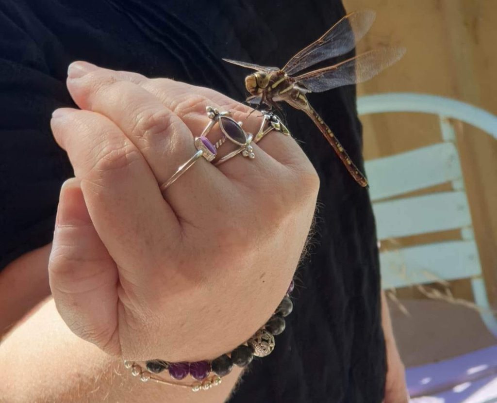 dragonfly on my hand